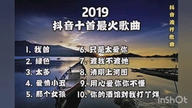 抖音最新歌曲2019，流行音乐的魅力与变迁