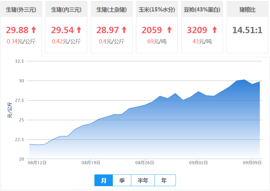 毕节今日猪价最新行情分析