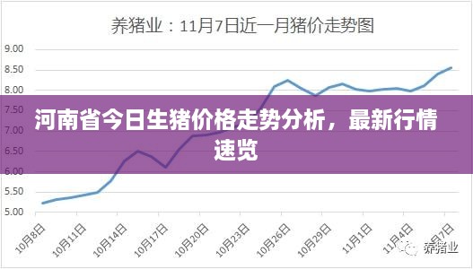 河南省生猪价格最新动态分析