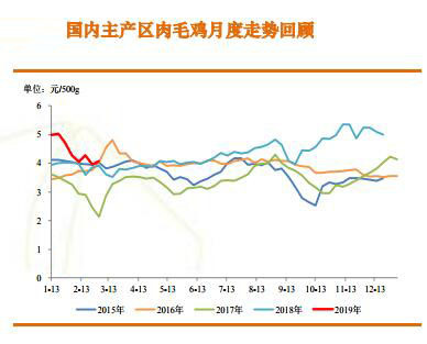 毛鸡最新消息，行业动态与市场展望