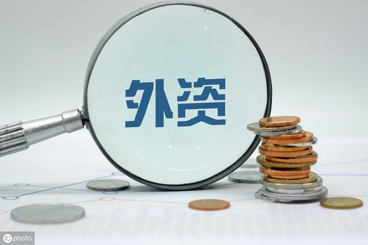 基金最新买入股票的动态分析