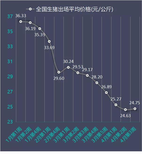 今日小猪价的最新价格动态分析