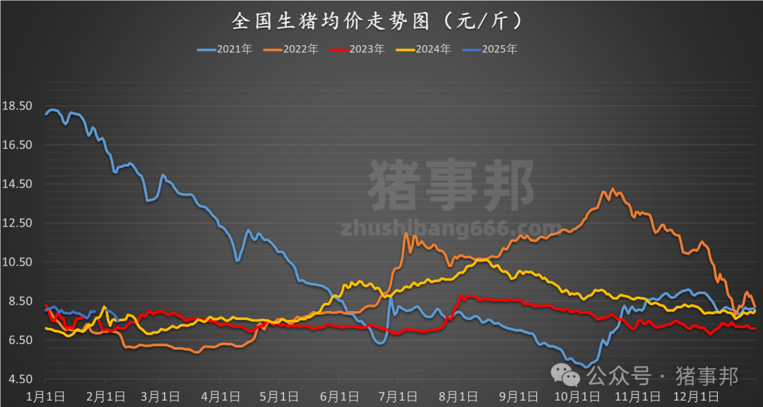 今日猪价最新价表——市场走势深度解析