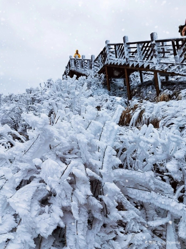 广东周边看雪最新指南