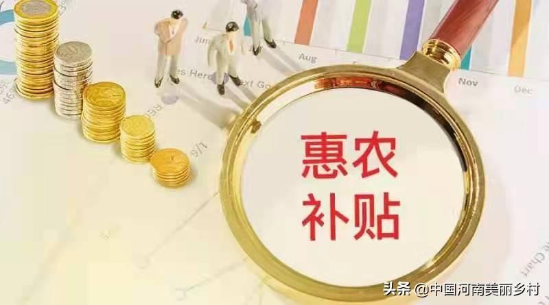 财政惠农资金最新公开，助力乡村振兴与农民福祉提升