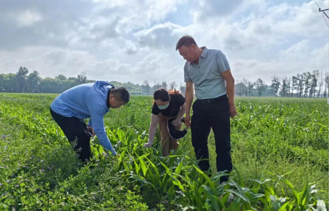 关于小草最新APP破解版的探讨