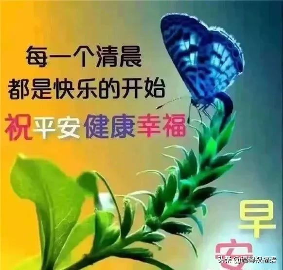 早安，美好的一天从社区开始——探索十六社区最新早安图片的魅力