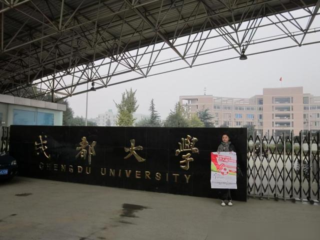 成都大学王清远教授最新动态，探索前沿科技，引领学术新风