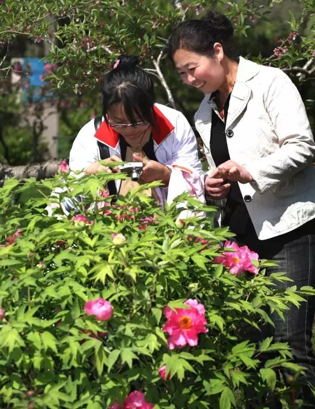 北京丰台花乡最新发展动态