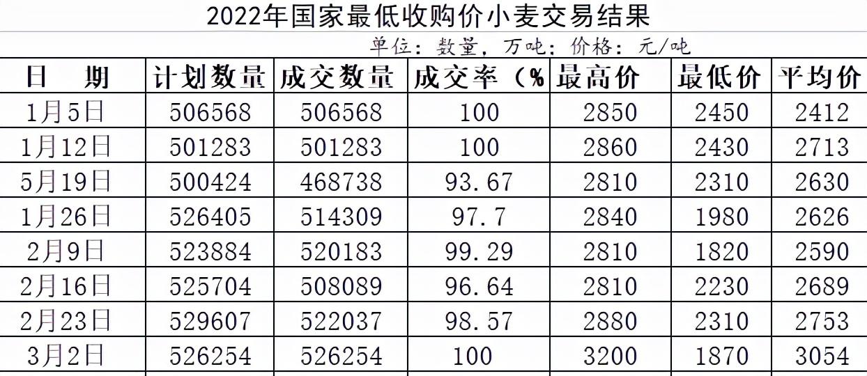 小麦价格最新动态，聚焦7月市场变化